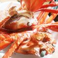 ふぁんたにゃん's cooksnap of when they made 美味しいカニの茹で方　お正月にも！.