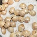 ＊花乃＊'s cooksnap of when they made 鮨屋の大将から教えてもらった銀杏の食べ方.
