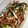クックC5AR2C☆'s cooksnap of when they made ☆いろ鶏どり☆ひじきのサラダ.