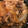 美貴姉's cooksnap of when they made 定番が一番!!がっつり牛玉丼～.