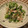 ちょこ✪0214's cooksnap of when they made ＊簡単＊大根とわさび菜のさっぱりサラダ.