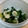 ユキぽっちん's cooksnap of when they made ごはんが進む！間引き菜（大根）の塩漬け.