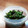 happy_children's cooksnap of when they made 簡単にもう一品　ほうれん草の胡麻和え.