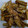 クックIZ9F36☆'s cooksnap of when they made ごぼうの甘辛炒め.