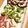 tuka☆eri's cooksnap of when they made 3種のマーブルアイスボックスクッキー♪.