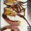 ＊ちゃーき＊'s cooksnap of when they made 伊勢海老の捌き方（文化包丁編）.