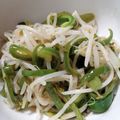 ヘタ子's cooksnap of when they made 材料ふたつだけ！もやしピーマン炒めもの.