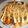 ブランシュkuu's cooksnap of when they made たっぷりキャベツのお好み焼き.