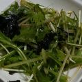 ヨシヨッシー's cooksnap of when they made 包丁いらず☆簡単水菜サラダ.