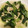クック96GPYX☆'s cooksnap of when they made 小松菜と油揚げのだし煮.