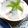 ルチアーノ★★★'s cooksnap of when they made 干し柿.