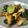 しおとも's cooksnap of when they made 超簡単！調味料2つで夏の炒め物.