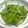 サオリ's cooksnap of when they made インゲンのゴマよごし.