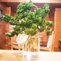 koorihime's cooksnap of when they made パセリを新鮮に長持ちさせる方法.