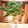 koorihime's cooksnap of when they made パセリを新鮮に長持ちさせる方法.