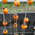 ☆アンシェル☆'s cooksnap of when they made ✿干し柿の作り方✿.