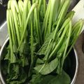 クックA5JMIT☆'s cooksnap of when they made 自家製野沢菜漬け.
