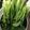 クックA5JMIT☆'s cooksnap of when they made 自家製野沢菜漬け.