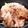 ♬あじさいのレシピ♬'s cooksnap of when they made ポトフ♪.