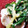 monjimari's cooksnap of when they made しっとり食感☆鶏むね肉とわけぎのぬた.