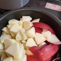 kaeru1gou's cooksnap of when they made アップルパイのフィリング.