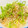 my_pace's cooksnap of when they made 大根おろしとちりめん乗せ.