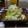 ダイナマイト漆黒's cooksnap of when they made セロリ＆イカの燻製の簡単！おつまみ♬.