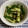 クック49L4Ho☆'s cooksnap of when they made もずくときゅうりの和え物.