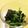 クックE2XXCF☆'s cooksnap of when they made わかめとほうれん草の胡麻ナムル☆.