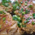 のーべる's cooksnap of when they made もやしたっぷり❤つくねバーグ.