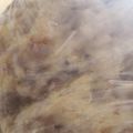 AiYuKE's cooksnap of when they made １番簡単！早い！炊飯器でもちもちパン♪.