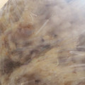 AiYuKE's cooksnap of when they made １番簡単！早い！炊飯器でもちもちパン♪.
