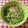moruchama's cooksnap of when they made 水菜＆カニカマ＆舞茸のサラダ ２.
