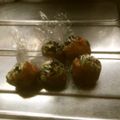 hirokumi93's cooksnap of when they made 凄ウマ★冷凍保存可能！味噌玉で即席味噌汁.