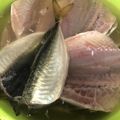 釣り好きマサコ's cooksnap of when they made 冷蔵庫で簡単干物作り(アジの開き).