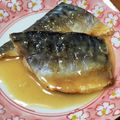 さっちゃん発酵おやつ's cooksnap of when they made そのまま煮るより香ばしい！焼き鯖の味噌煮.