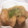 おやつや's cooksnap of when they made 簡単！鶏肉のおろし煮.