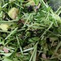 海璃っちmama's cooksnap of when they made やみつき！豆苗と塩昆布のアボカドサラダ.