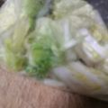 AiYuKE's cooksnap of when they made 白菜の10分漬物.