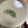 milk0402's cooksnap of when they made 八頭（やつがしら）のポタージュ.