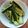 ぽっくんきっちゃん's cooksnap of when they made ジップロックで簡単♪きゅうりの浅漬け.
