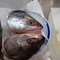 恋する☆彡ばんちょ's cooksnap of when they made 初心者OKマグロ漁師さん鮭頭簡単さばき方.