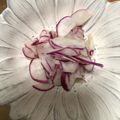 りーそー's cooksnap of when they made ＊赤かぶの甘酢漬け＊.