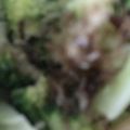 ma___111's cooksnap of when they made ちょこっと。ブロッコリーおかか和え.