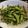 ☆hikonyan☆'s cooksnap of when they made ごま油が決め手！ガーリック枝豆.