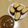 take♪aki♪'s cooksnap of when they made カレーつけパン.