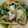 sawa＊sawa's cooksnap of when they made 短時間で美味しい鶏肉とエノキのすき焼き風.