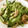 クックTopMfld's cooksnap of when they made ☆ちくわときゃべつの炒めもの☆.