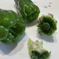 Hirarinn☆'s cooksnap of when they made 手だけで！ピーマンの種とり！.