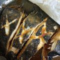 ちぇぶ？'s cooksnap of when they made 母の味◆白身魚の煮つけ.